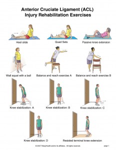 acl exercises